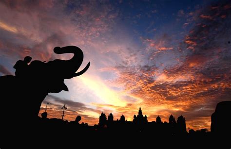 Mysuru (Karnataka): Dasara elephants at Mysore Palace during sunset