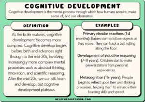 18 Cognitive Development Examples (2024)