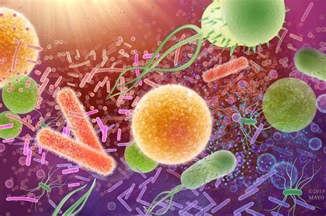 What Do You Know About Superbugs? - Mayo Clinic News Network