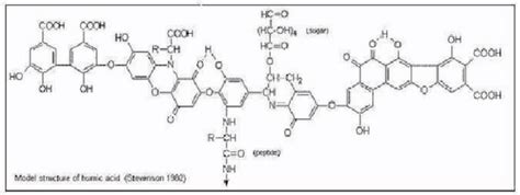 Model structure of humic acid. | Download Scientific Diagram