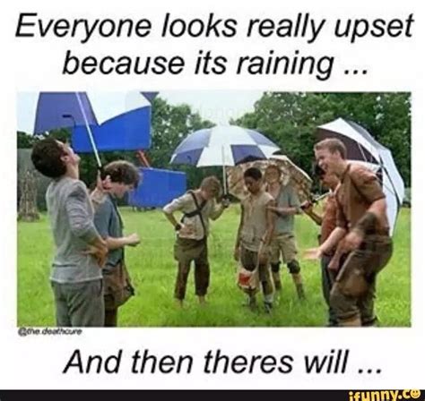 Pin by Katie M on The Maze Runner Memes | Maze runner movie, Maze runner, Maze runner funny