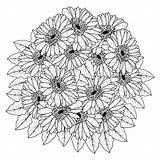 Premium Vector  Beautiful Flowers Of gerbera daisy coloring Page sketch template