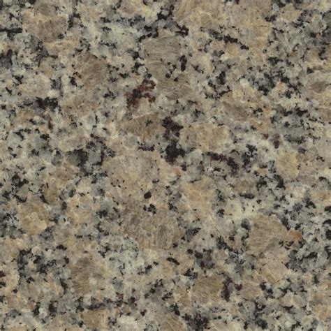 Shop SenSa Giallo Latina Granite Kitchen Countertop Sample at Lowes.com