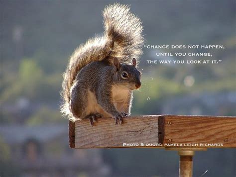 Squirrel Love Quotes