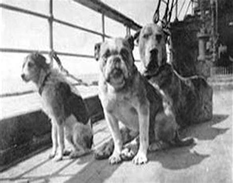 Remembering the Dogs of the Titanic