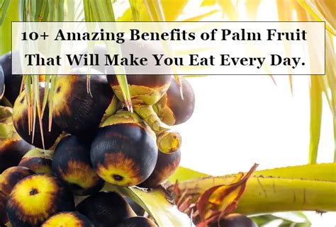 10 Amazing Benefits of Palm Fruit That Will Make You Eat Every Day.