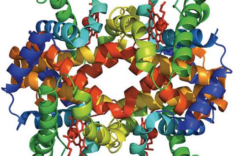 The p53 Protein: From Cell Regulation to Cancer | Institute for ...