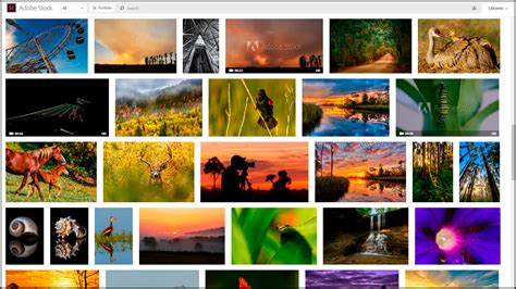 How to Become an Adobe Stock Contributor | Photofocus