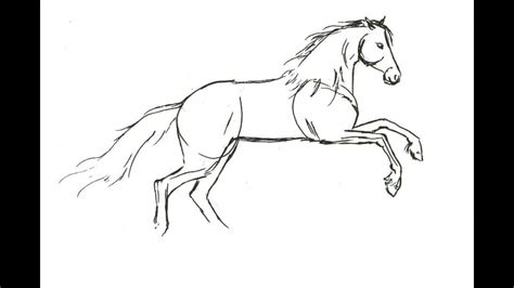 Horse Sketch Easy Step By Step : [view 40+] Horse Sketch Drawing Step By Step | Bodegawasuon