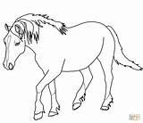 Printable Coloring Pages Horses sketch template