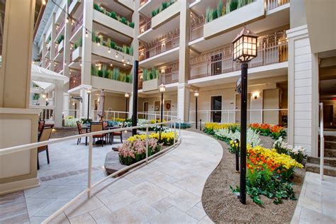 Indoor Atrium Trees & Plants at Senior Living Community | TreeScapes ...