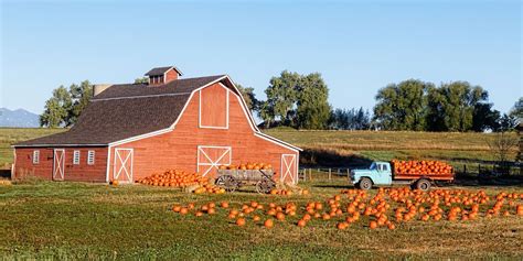 We Found the Best Pumpkin Farms to Visit This Fall | Pumpkin patch farm, Pumpkin farm, Best pumpkin