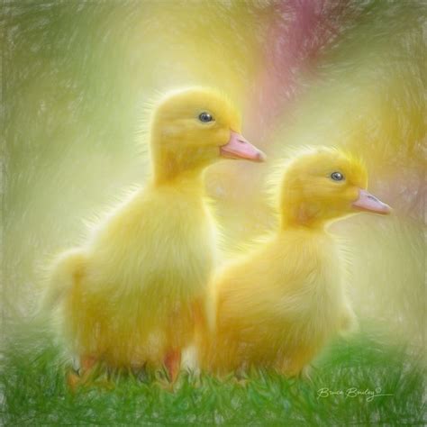 Animal Love Series - #8 Digital Art | Animal art, Cute animal pictures ...