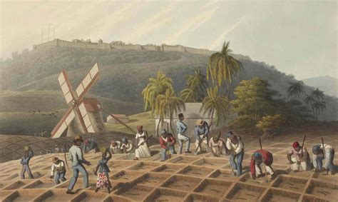 The Transatlantic Slave Trade, 1675-1907 | British Online Archives