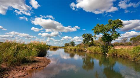 River Scene Wallpaper (37+ images)