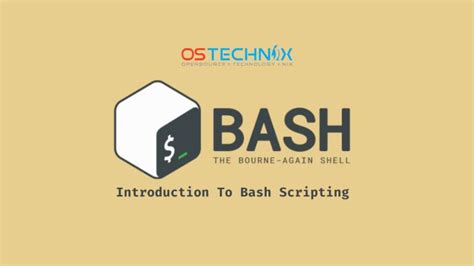 Introduction To Bash Scripting