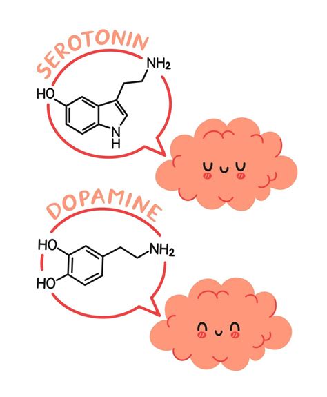 How to Increase Serotonin and Dopamine Naturally - Healthier Steps