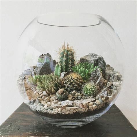 Stunning Glass Crystal Terrarium Kit Ideas Picture 17 ...Read More... | Succulent terrarium ...