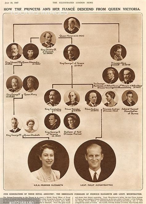 Queen Victoria Family Tree | British royal family tree, Royal family trees, Queen victoria family