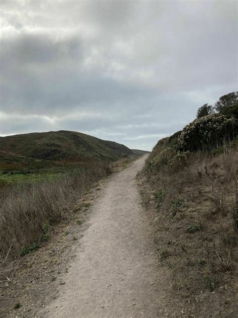 Kehoe Beach Trail - California | AllTrails