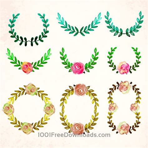 Free Vectors: Watercolor vector frames and leaves | Flowers