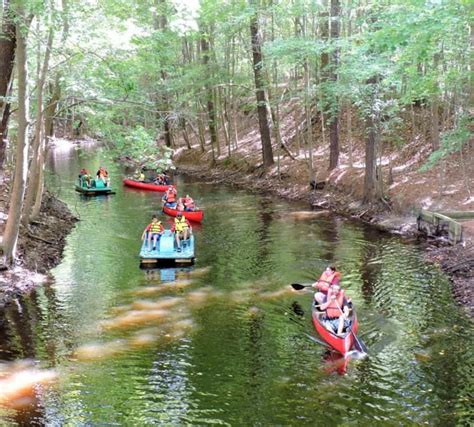 Northwest River Park in Chesapeake to offer free activities on September 24… | River park, Free ...