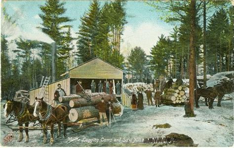 HTY 213: History of the Maine Woods - History - University of Maine