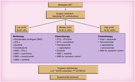 Insulinoma: literature’s review (part 2) - MedCrave online