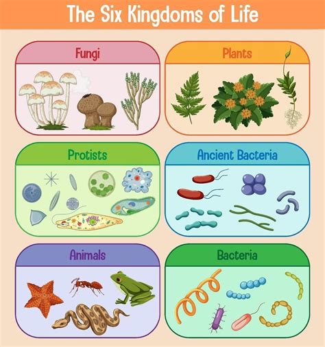 Download Science poster of six kingdoms of life for free | Reinos de la ...