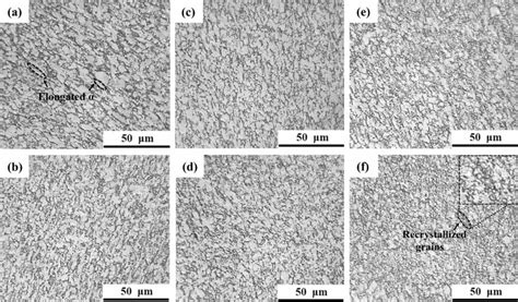 Microstructure of Ti–6Al–4V alloy under different tensile conditions: a ...