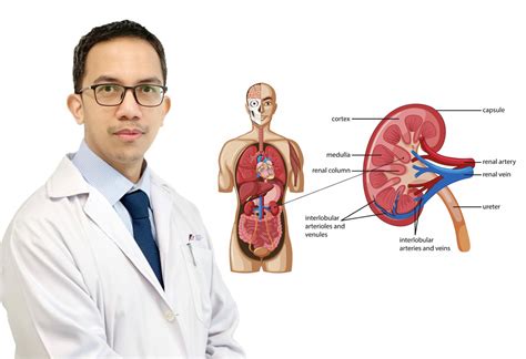 Kidney Transplant Donor: Why Malaysians should accept it and make a commitment to become one