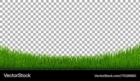 Grass border Royalty Free Vector Image - VectorStock