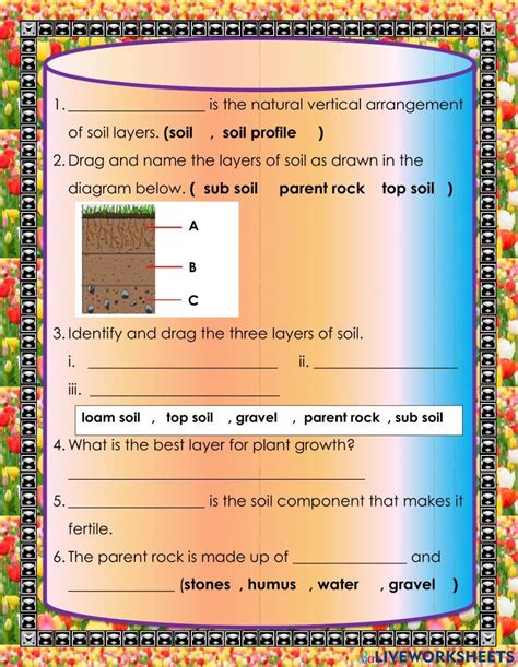 soil layers - ESL worksheet by f.kwin - Worksheets Library