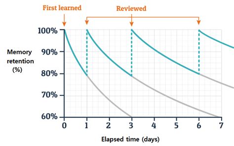 Ebbinghaus' forgetting curve and review cycle. | Download Scientific Diagram