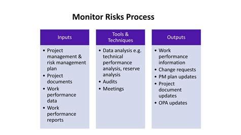 ProjectManagement.com - How to Monitor Risks