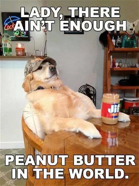 Lady, there ain’t enough. Peanut butter in the world. | Funny animal memes, Cute dog memes ...