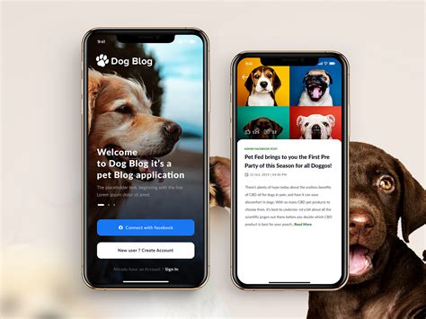 Dog Blogs - Mobile App by TechGropse Pvt. Ltd. on Dribbble