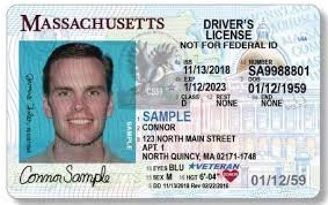 Massachusetts voters may decide on driver's licenses for undocumented immigrants | WAMC