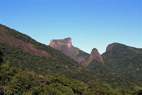 Top 10 Facts about Tijuca National Park in Brazil - Discover Walks Blog