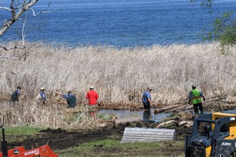 Bogged down: Volunteers can’t budge Minnesota lake’s massive floating ...