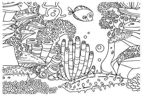 Sea Cucumber to Print Coloring Page - Free Printable Coloring Pages