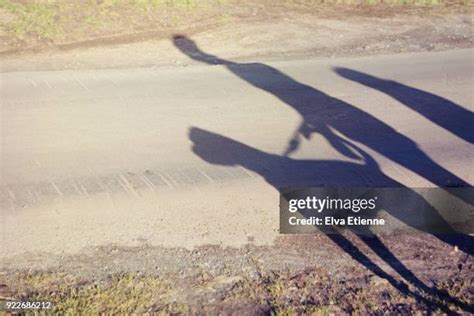 366 White Shadow Cast Stock Photos, High-Res Pictures, and Images - Getty Images