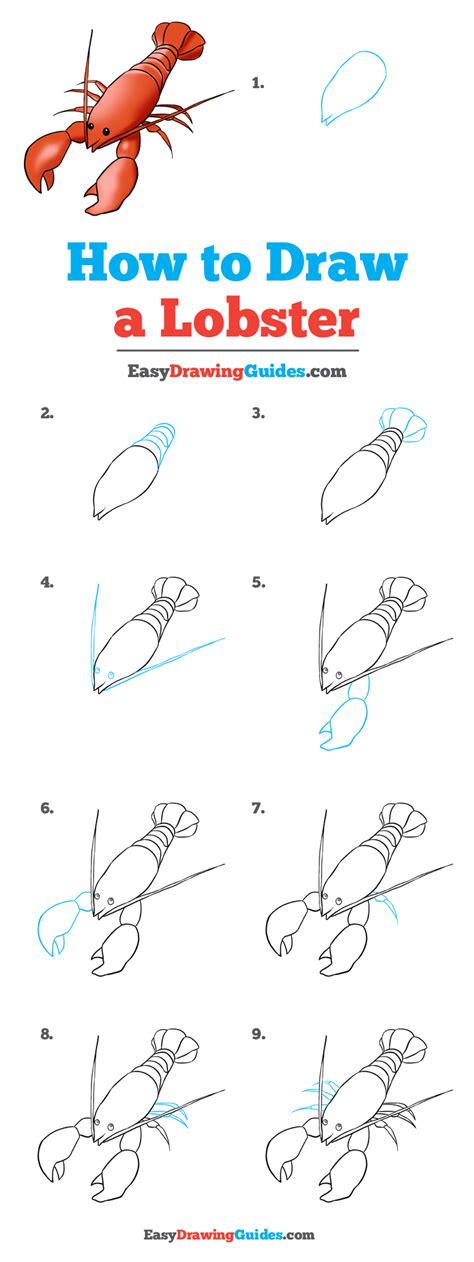 How To Draw A Lobster Drawing Kids | Images and Photos finder