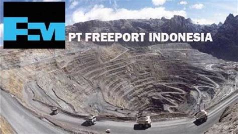 Sejarah Panjang Freeport Keruk Emas di Papua hingga Kembali Dikuasai RI