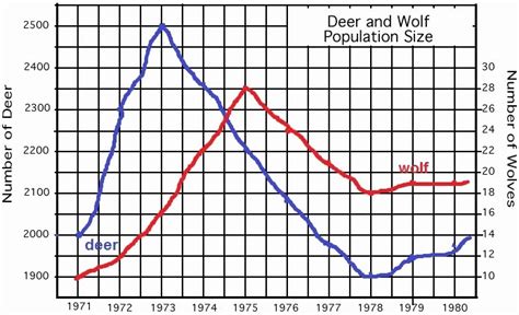 50 Population Ecology Graphs Worksheet Answers