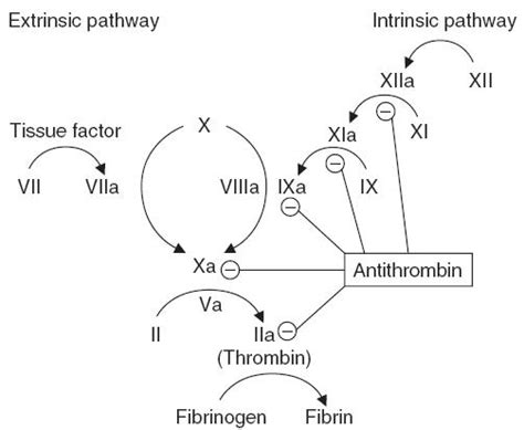 Antithrombin III Deficiency? - NEJS