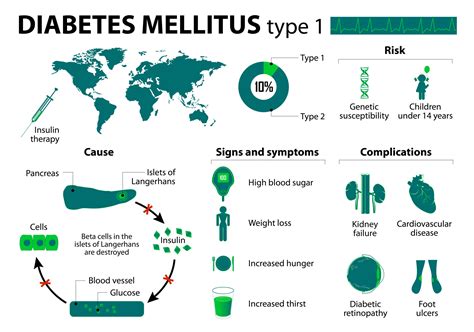 Type 1 Diabetes Mellitus | www.informationsecuritysummit.org