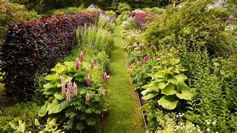 How to plant a flower bed: The essential guide | Homes & Gardens