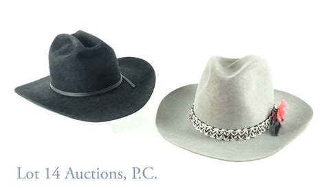 Stetson Brand Hats (2) Auction