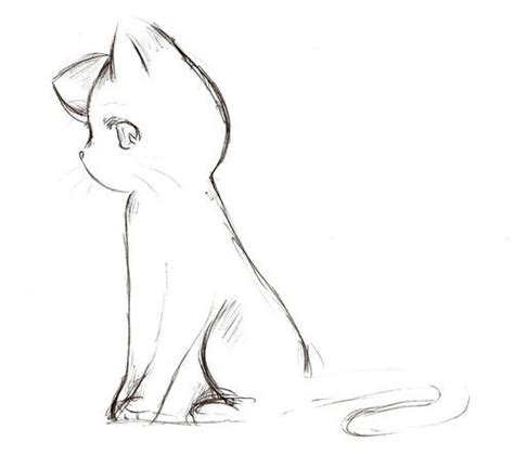 anime cats - Google Search Cat Sketch, Anime Sketch, Art Drawings ...